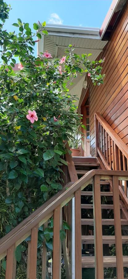 Bungalow Mangifera Proche De La Plage Le Diamant Eksteriør billede
